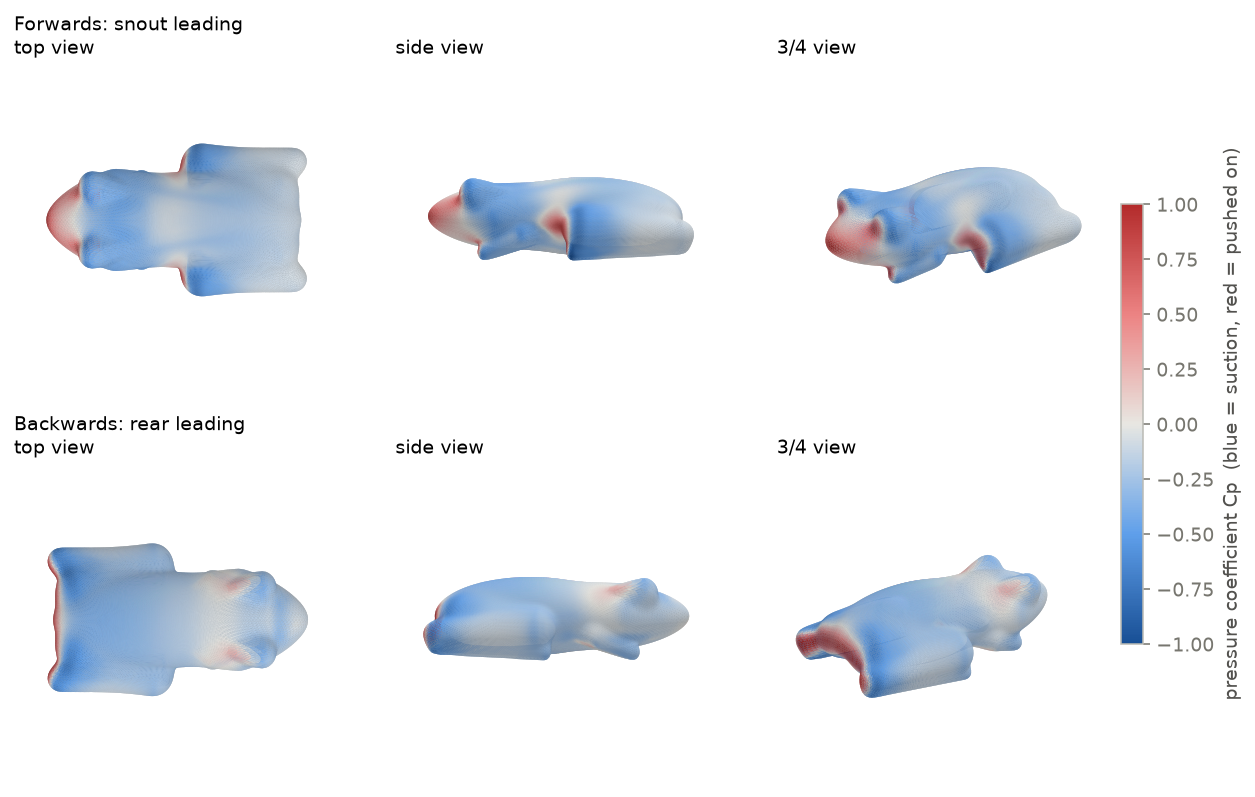 Frog surface coloured by pressure coefficient for both orientations, in top, side and three-quarter views